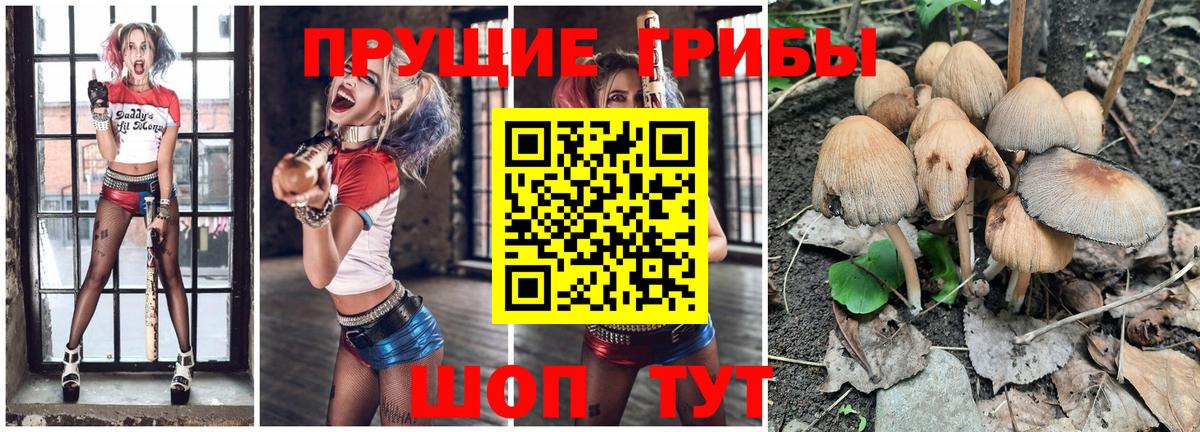 Галлюциногенные грибы GOLDEN TEACHER Жигулёвск