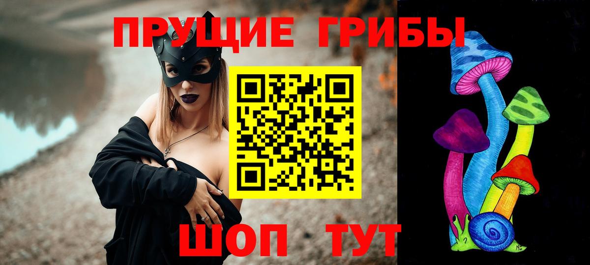 Галлюциногенные грибы ЛСД  Вход с VPN  Галлюциногенные грибы Psilocybe  Жигулёвск 