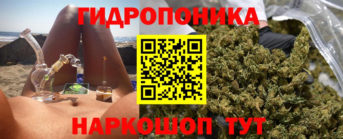 Шишки марихуана гибрид Жигулёвск